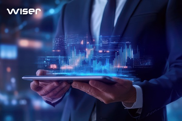 Wiser Technology отчита ръст на приходите от 385% и положителна EBITDA за Q4 2024